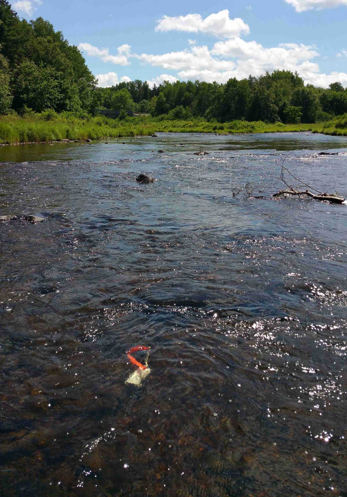 Une sonde de température installée dans une rivière par RivTemp
