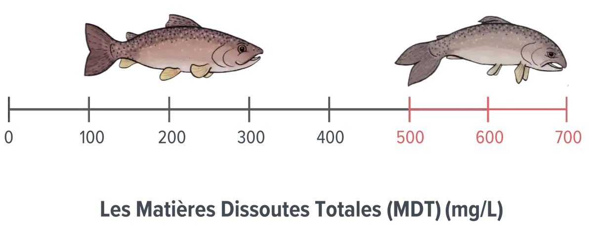 Écailles de poisson totales en suspension (TSS) et totales dissoutes (TDS) passant de 0 mg / L à 100 mg / L (poisson en bonne santé) à 500-700 mg / L (poisson en mauvaise santé).